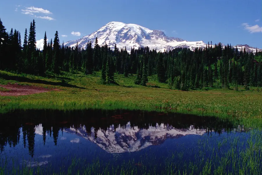 کوهستان زیبا در دنیای طبیعی