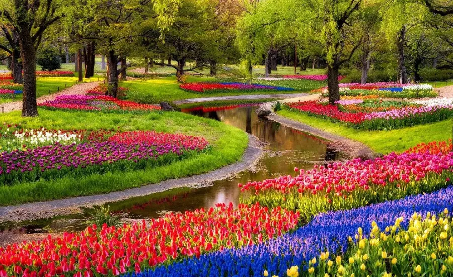 عکس گل‌های رنگارنگ در بهار