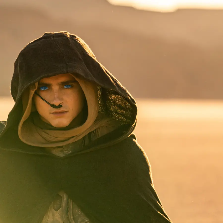 عکس پروفایل شیک و خاص از سکانس فیلم Dune قسمت 2