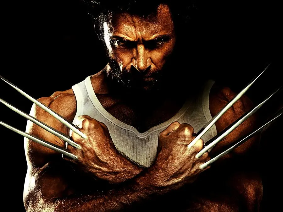 دانلود عکس پس‌زمینه و والپیپر فیلم The Wolverine