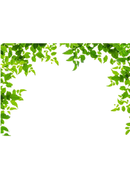 والپیپر قالب اینستاگرام به شکل برگ های سبز