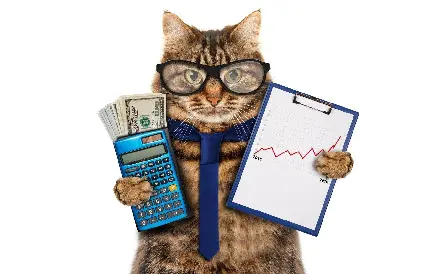 عکس گربه عینکی حسابدار با ماشین حساب و نمودار صعودی