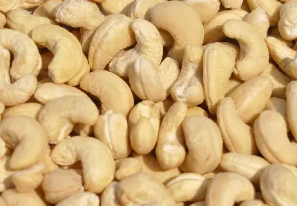 عکس بادام هندی به انگلیسی cashew با کیفیت فوق العاده