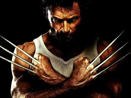 دانلود عکس پس‌زمینه و والپیپر فیلم The Wolverine